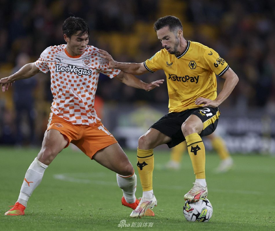 这为郑琇鸿 这为郑琇鸿